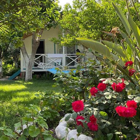 Bellerofon Beach Otel Çıralı Buitenkant foto