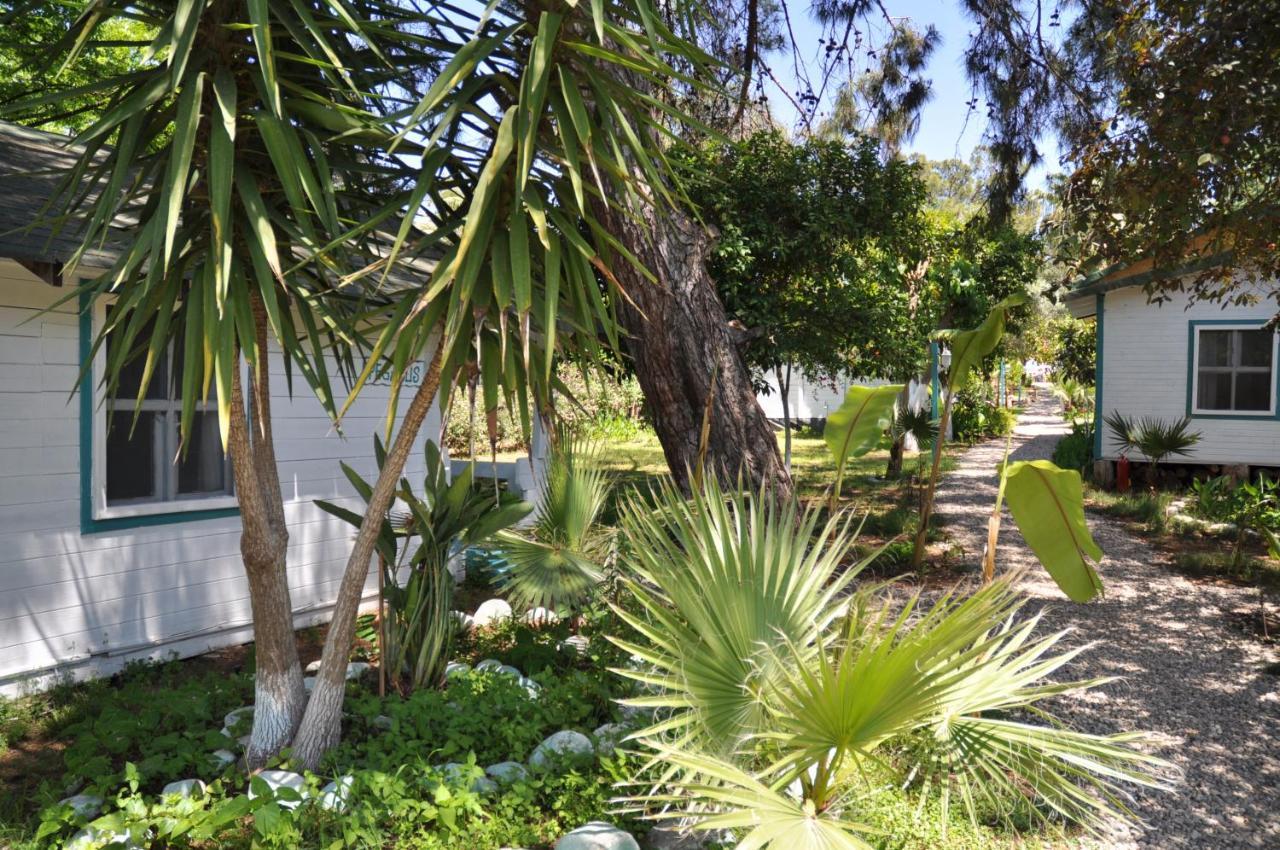 Bellerofon Beach Otel Çıralı Buitenkant foto