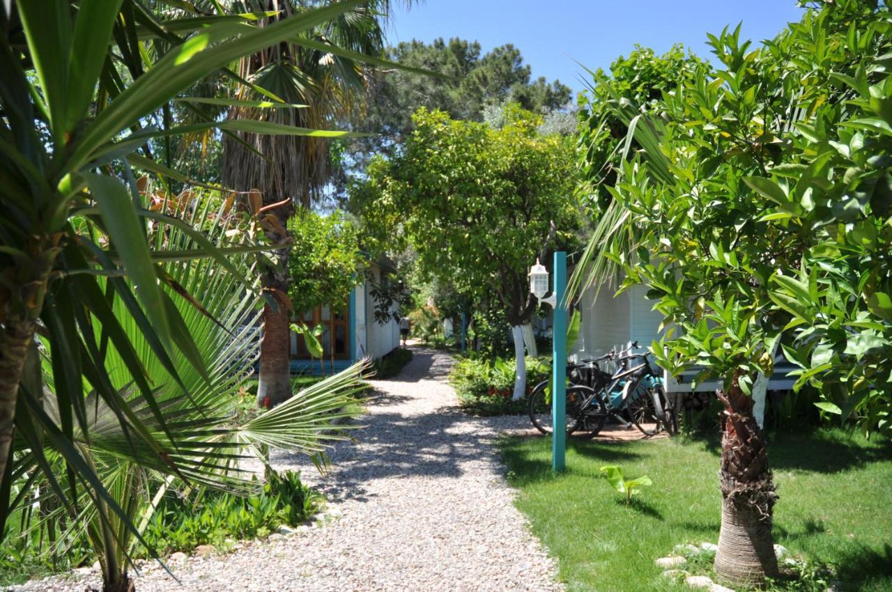Bellerofon Beach Otel Çıralı Buitenkant foto
