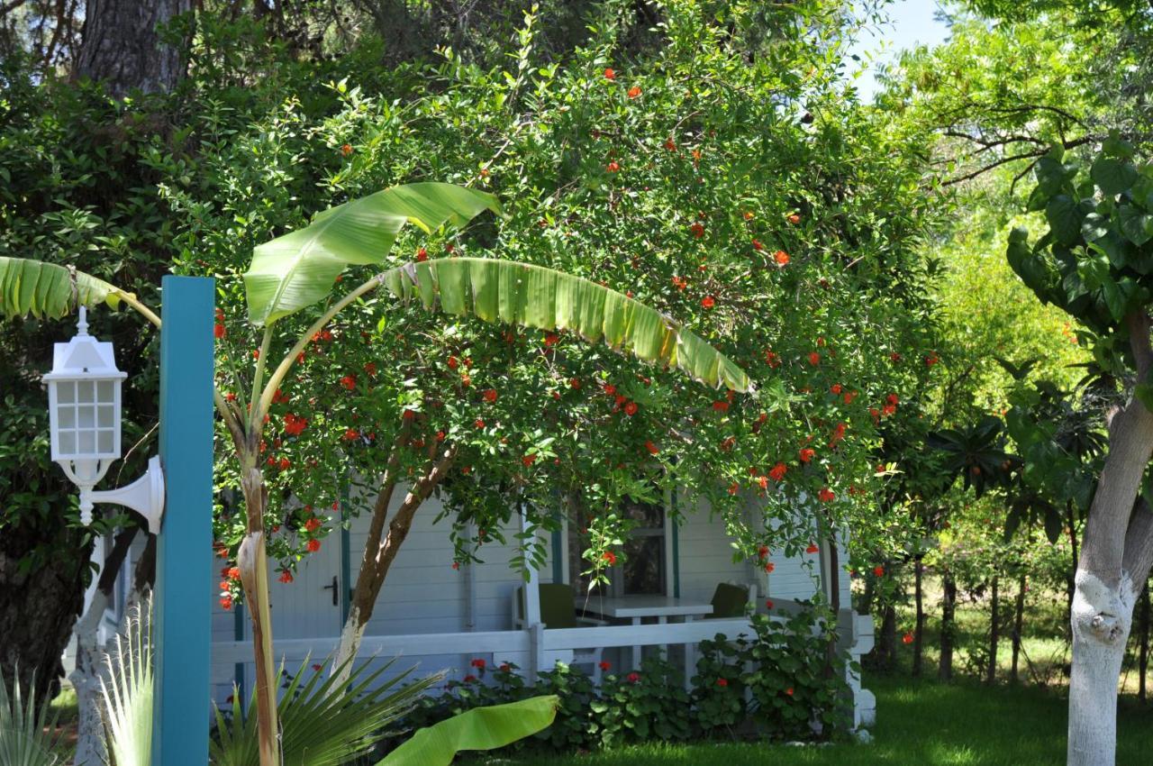 Bellerofon Beach Otel Çıralı Buitenkant foto
