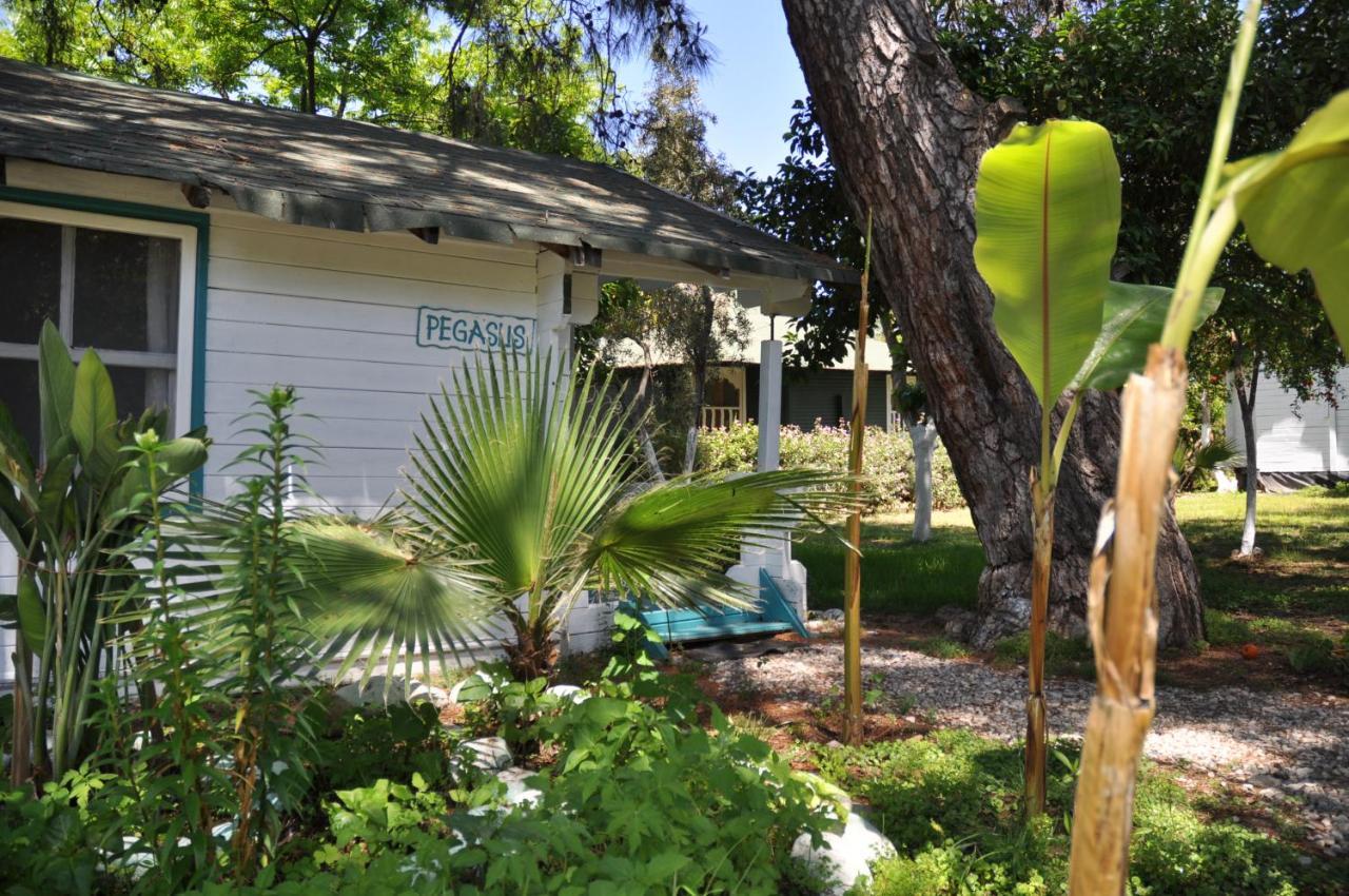 Bellerofon Beach Otel Çıralı Buitenkant foto