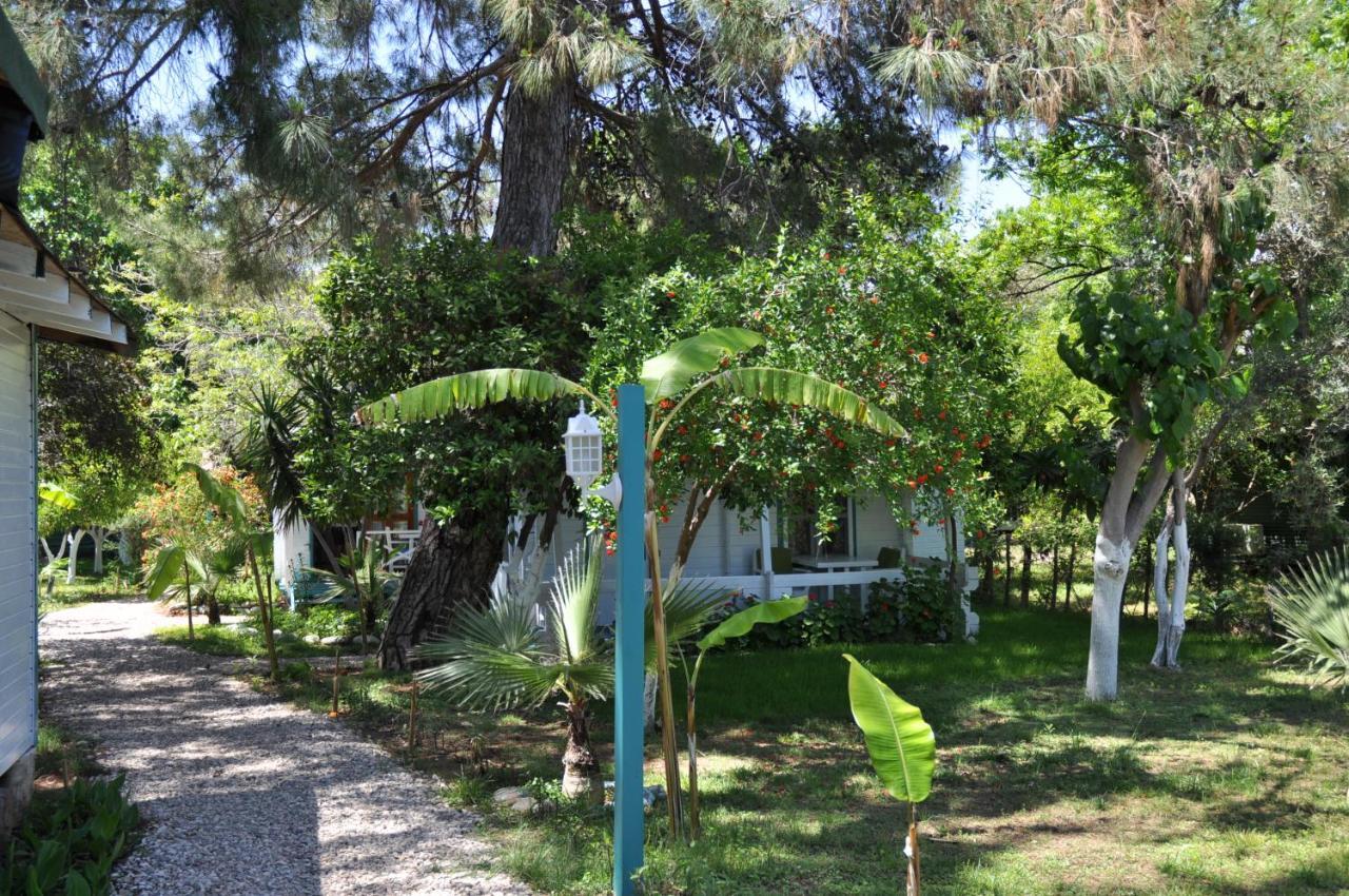 Bellerofon Beach Otel Çıralı Buitenkant foto