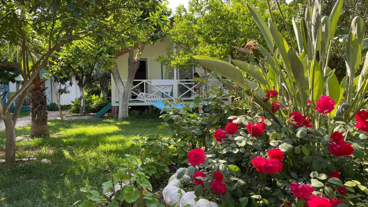 Bellerofon Beach Otel Çıralı Buitenkant foto