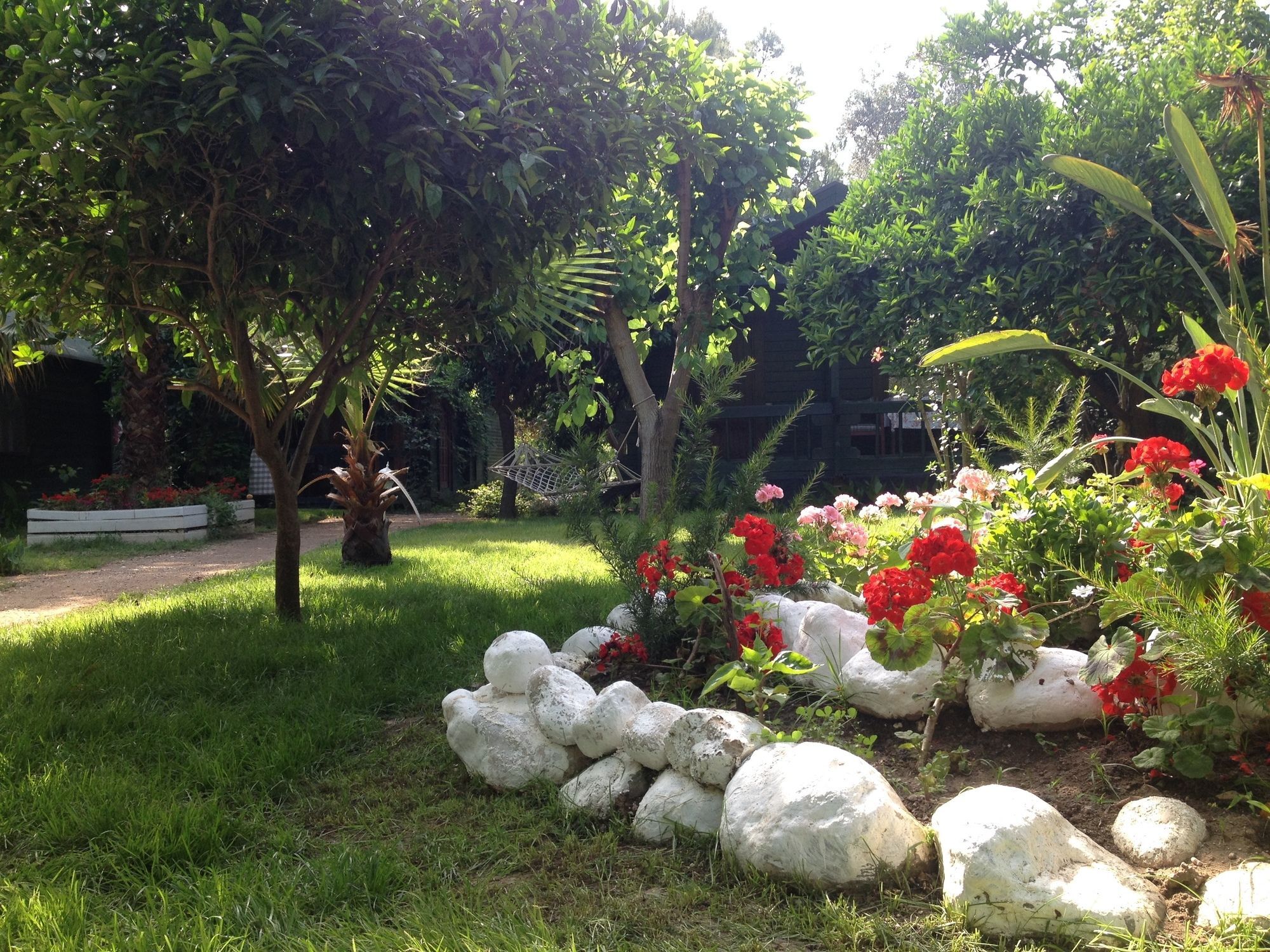 Bellerofon Beach Otel Çıralı Buitenkant foto