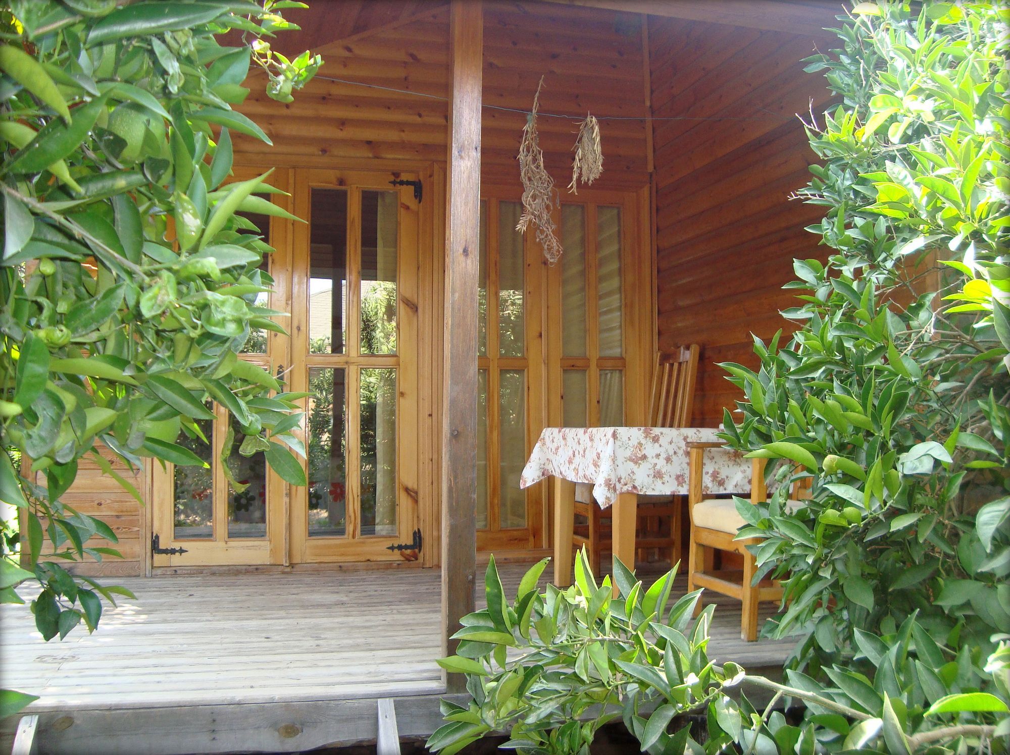 Bellerofon Beach Otel Çıralı Buitenkant foto